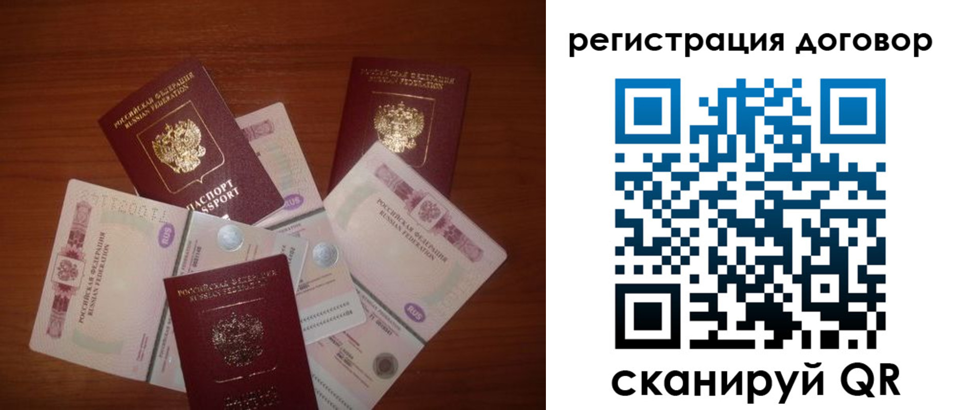 временная прописка в Ельне